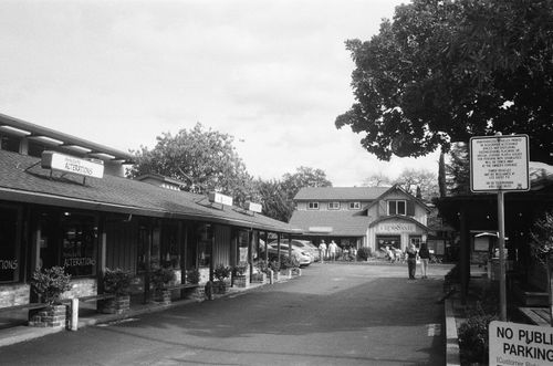 Downtown Los Gatos