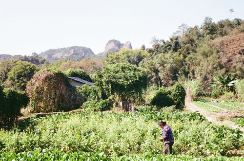 Danxia Mountain farmer, Shaoguan, Guangdong Province, China