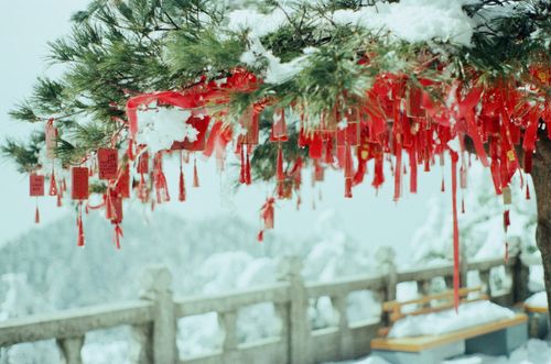 Wishes left on trees. Yao Mountain, Henan.