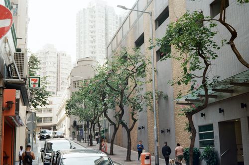 Fung Yu Building neighbourhood, Sai Ying Pun, Hong Kong