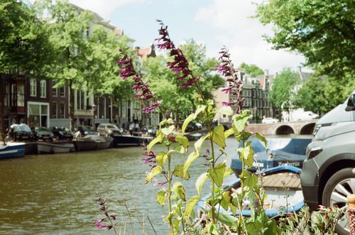 River dining, Amsterdam, The Netherlands