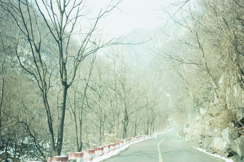 Path up to Yao Mountain, Henan