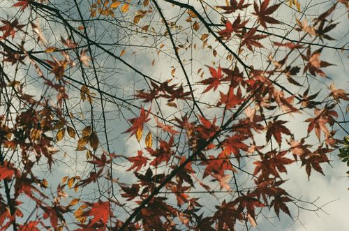 Hengdian, China, in the fall