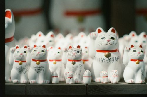 Maneki Neko, Japan