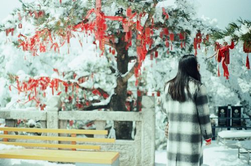 Wishes left on trees. Yao Mountain, Henan.