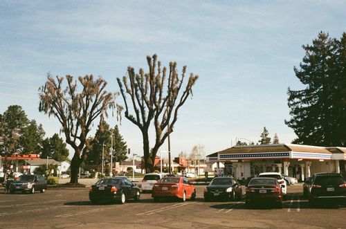 Americana, Santa Clara, California