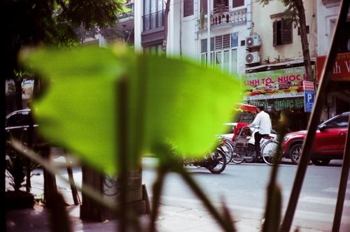 Leaf?, Hanoi, Vietnam