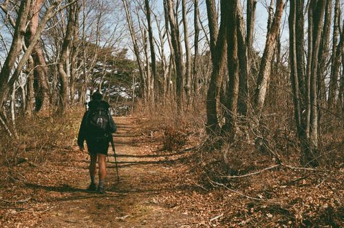 Man and forested trail, Taneishi Coast, Japan